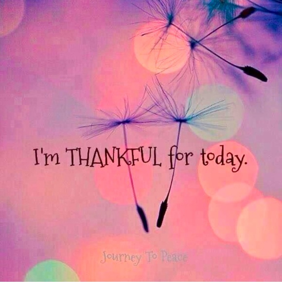 Share show - Picture 4 of 14